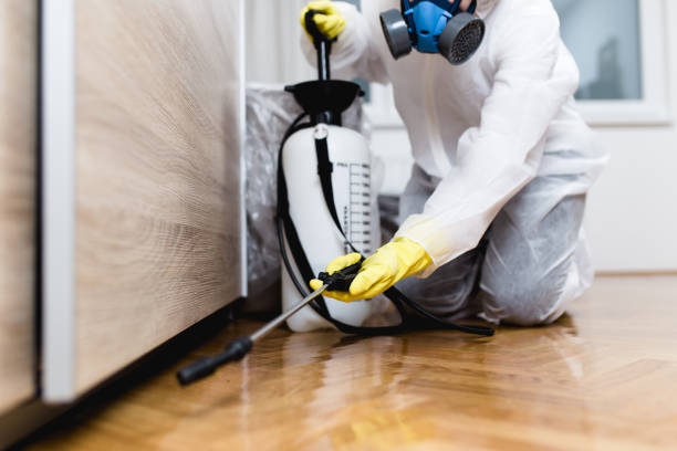 Best Affordable Pest Control Services  in Bridgeton, MO