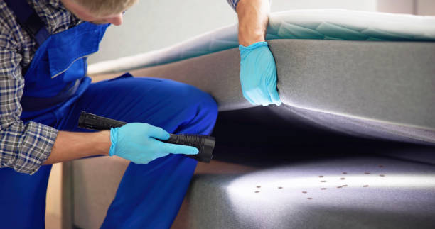 Best Pest Removal Services  in Bridgeton, MO