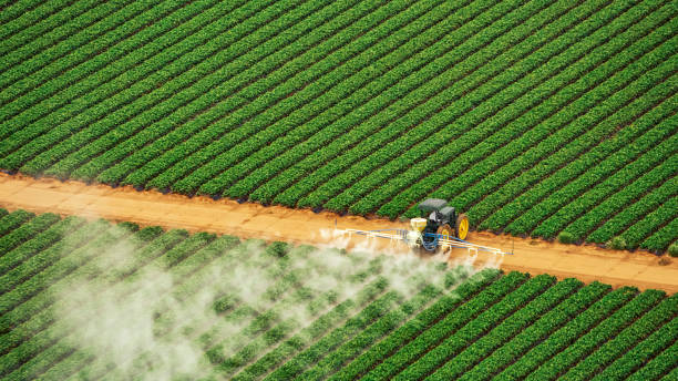 Best Pest Prevention Services  in Bridgeton, MO