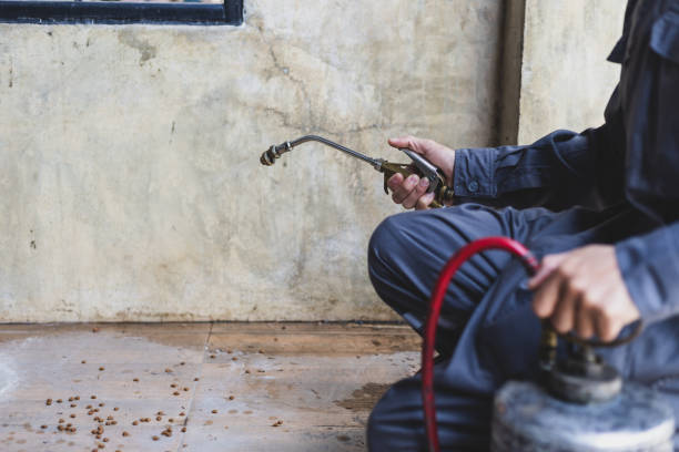 Best Mosquito Control Services  in Bridgeton, MO