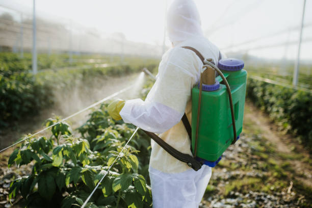 Best Exterminator Services  in Bridgeton, MO